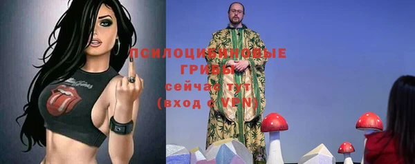амф Аркадак