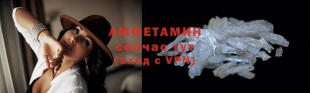 амф Аркадак