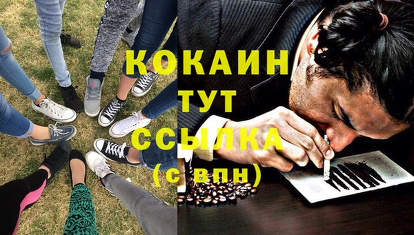 амф Аркадак