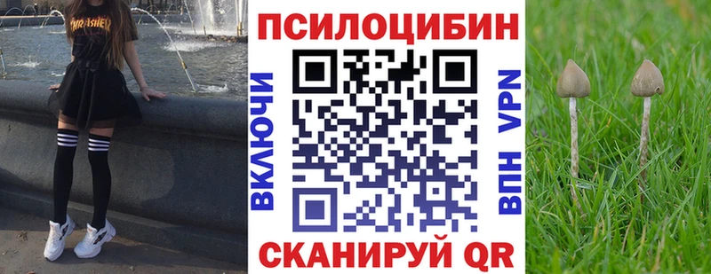 нарко площадка какой сайт  продажа наркотиков  Радужный  Псилоцибиновые грибы Psilocybe 